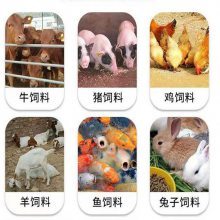 大產量畜牧養殖飼料顆粒機與青秸稈飼料顆粒的應用