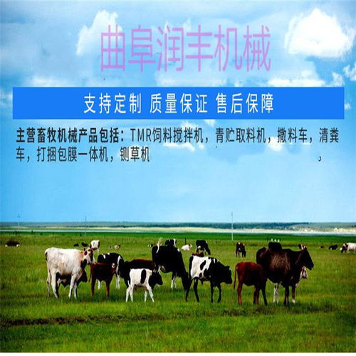 智能養殖新篇章 自動喂料車如何革新畜牧飼料管理