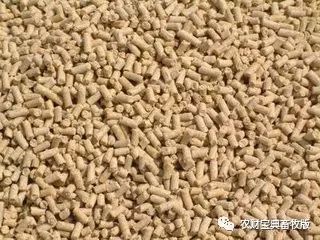 討要飼料款遇“神逆轉”，養殖戶反訴飼料致生豬死亡