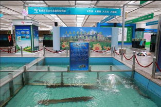 省錢又羨慕！這些網友喜獲2018長春農博會免費門票，畜牧漁業飼料銷售攻略一網打盡