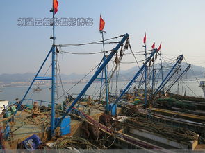 威海漁港大船靜泊 油貴魚少，漁民生計困局下的產業鏈陣痛